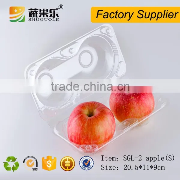 Thermoformed Plastic 2 Apple Fruit Box photo-4