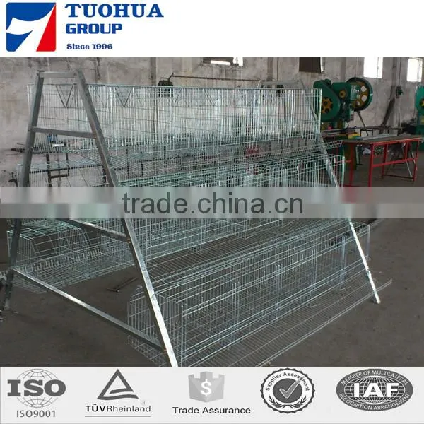 Chicken Poultry Layer Cage for Sale,layer Poultry Cages photo-4