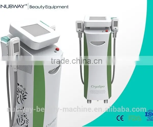 China Leading High-tech Fat Cells Removal 2 Handles Cryolipolysis Machine Weight Loss photo-3