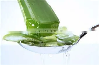 Aloe Vera Gel photo-2