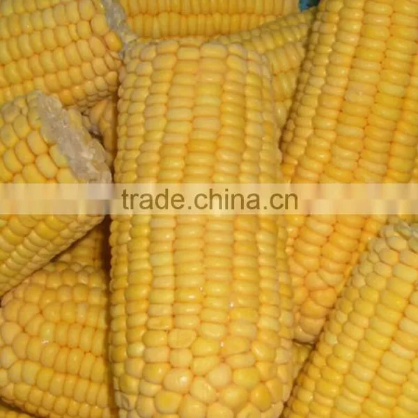 Canned Sweet Corn photo-5