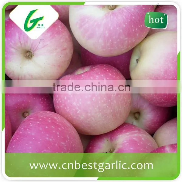 Chinese Fresh Sweet Red Gala Apple photo-4