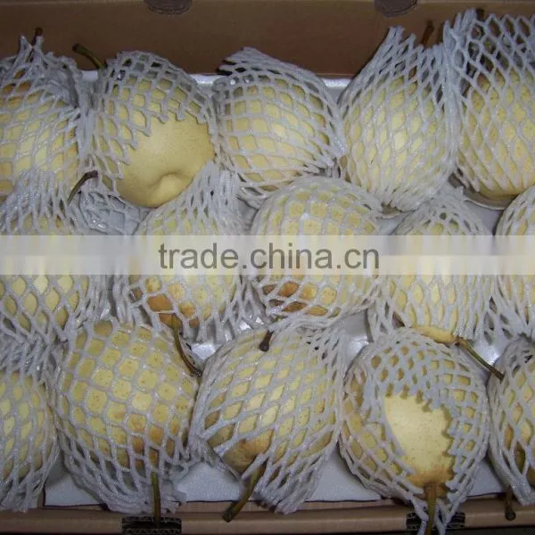 2015 Fresh ya Pear Packing in Carton With Good Quality photo-4