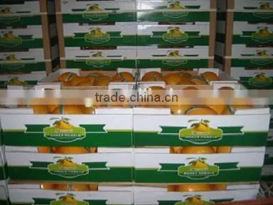 Chinese Low Price Juicy Honey Pomelo on Sale photo-6