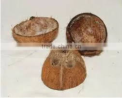 High Quality Cheap Pollachi Coconut Shell
