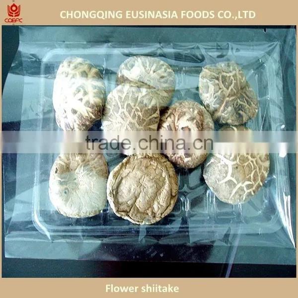 Dried Flower Mushroom, China Shiitake Mushroom photo-2