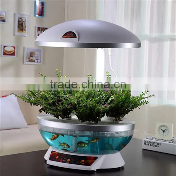 Clay Pot for Plants