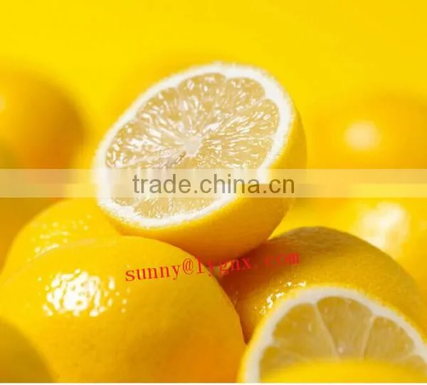 Citric Acid in Food Additives photo-4