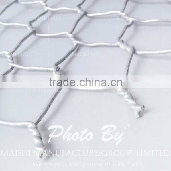 Galvanized Hex Wire Netting photo-2