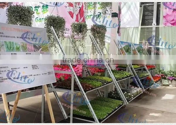 57 Display Danish Flower Trolley Cart With Pulling System for Sale photo-3