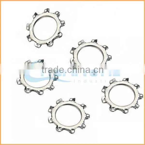 China Professional Manufacturing Internal Thread Lock Washer photo-4