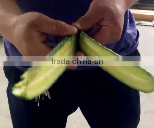 Fruit Vegetable Chinese Cabbage Half Cutting Machine Cutter photo-4