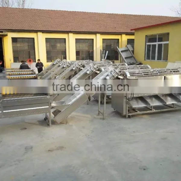 Fruit Vegetable Garlic Onion Grading Machine Sorter Grader photo-3