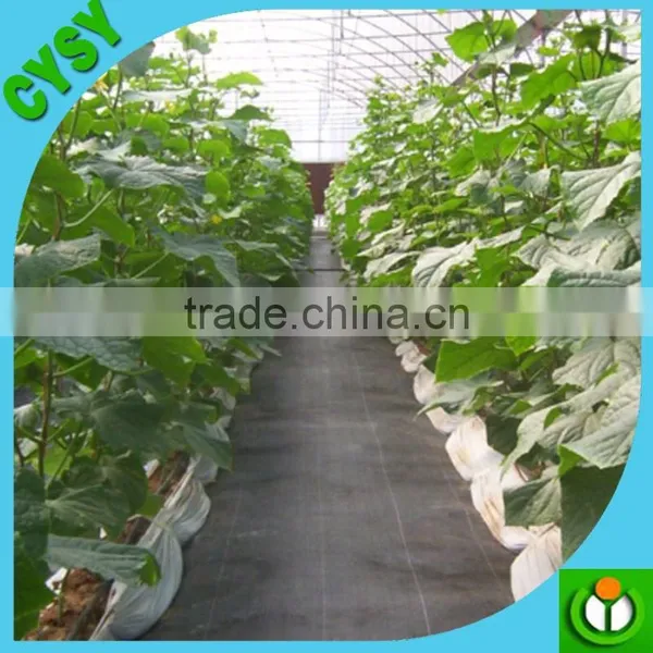 PP Woven Weed Control Mat photo-3
