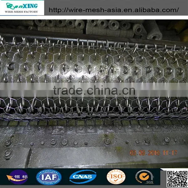 Galvanized and Pvc Coated Bird Animal Cages Hexagonal Wire Mesh/chicken Wire Mesh photo-3