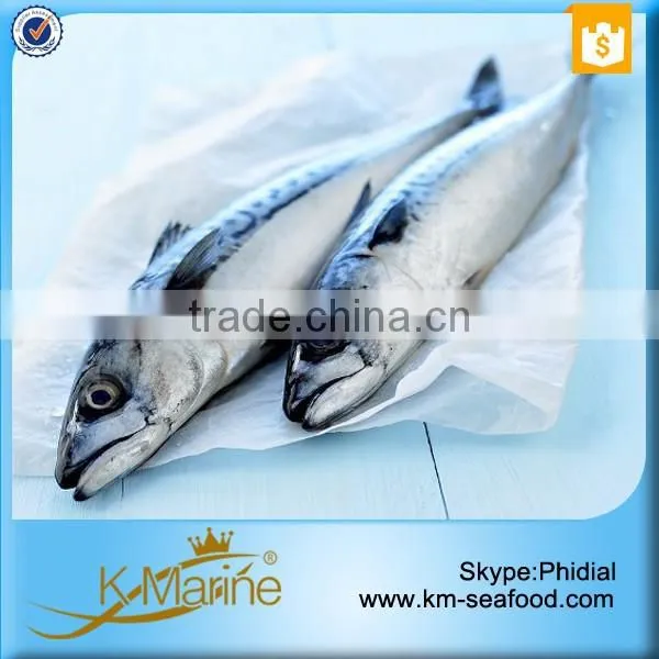 Frozen Whole Round Mackerel photo-2
