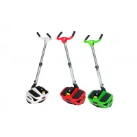Green Power Electric Scooter, Hot Sale 2 Wheel Electric Standing Scooter