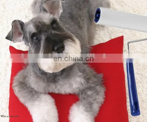 Dog Accessories Pet Product Dog Sticky Mat photo-4