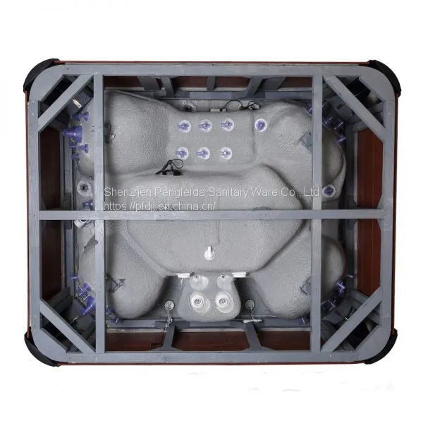 2018 Hot Sale Cheap Acrylic Outdoor Hot Tub Spa With HDTV photo-5