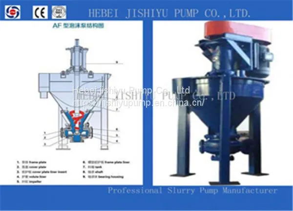 Development And Selection Of Froth Pump