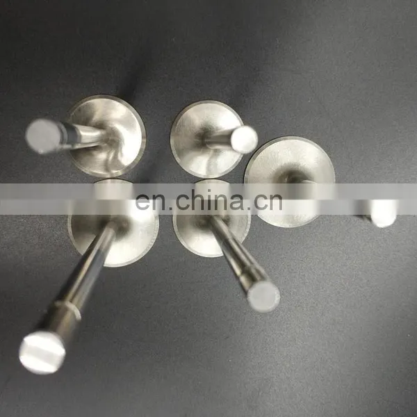 Aftermarket Replacement Pick-up Truck Spare Parts Engine Valve For Isuzuu G161 G180 G200Z G160 1.6 L photo-7