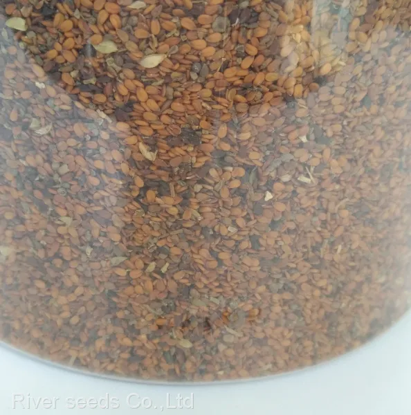 100g Bulk Supply Hybrid Mature Black Yellow Maca Seeds for Planting