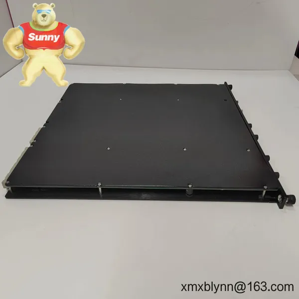TRICONEX 4200 – Field Termination Assembly for Reliable Tricon TMR I/O Wiring photo-3