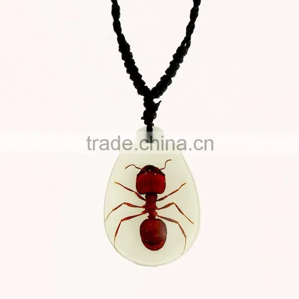 2016 Hot-selling Novel Gifts Resin Necklace With Real Insect photo-5