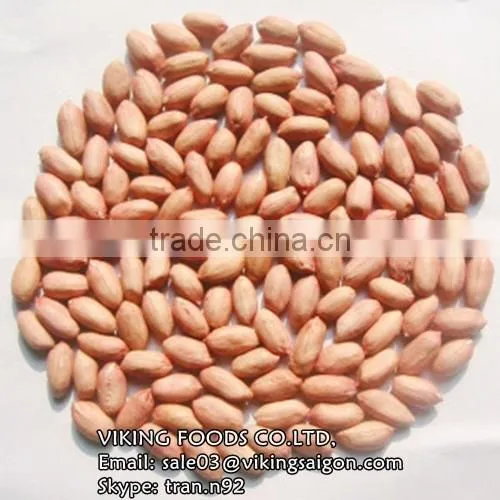 VIETNAM_BEST PRICE_PEANUTS KERNEL/GROUNDNUTS photo-3