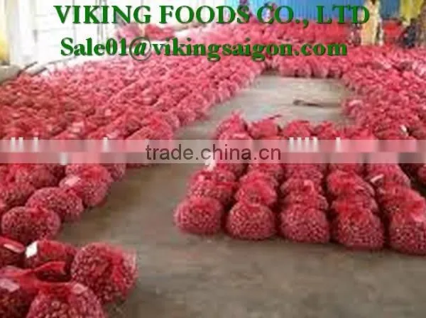 FRESH RED ONION _ FROM VIET NAM photo-3