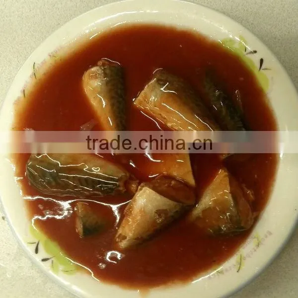 Chinese Wholesale Canned Mackerel Tomato