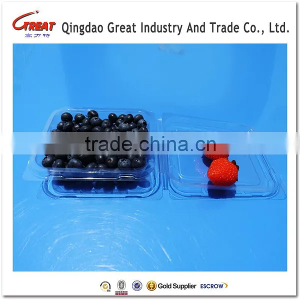 Small Square Clear Plastic Blueberry Container Clamshell photo-2