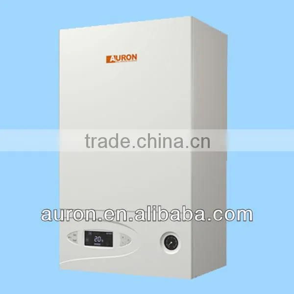 Wall-mounted Gas Boiler for Heating and Domestic Hot Water