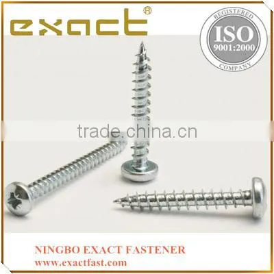 High Quality Hex/pan/torx/wafer Head Self Tapping Screw From China photo-3