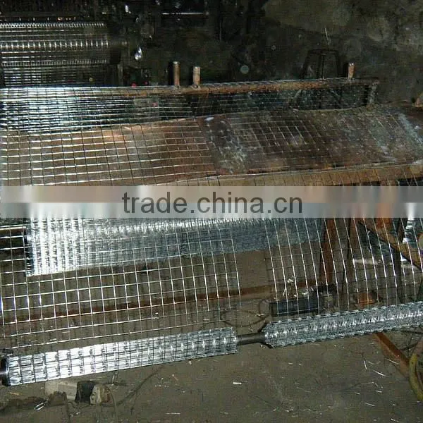 Welded Wire Mesh Best Quality photo-5
