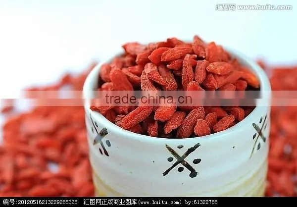 ISO 9001 Goji Berry photo-5
