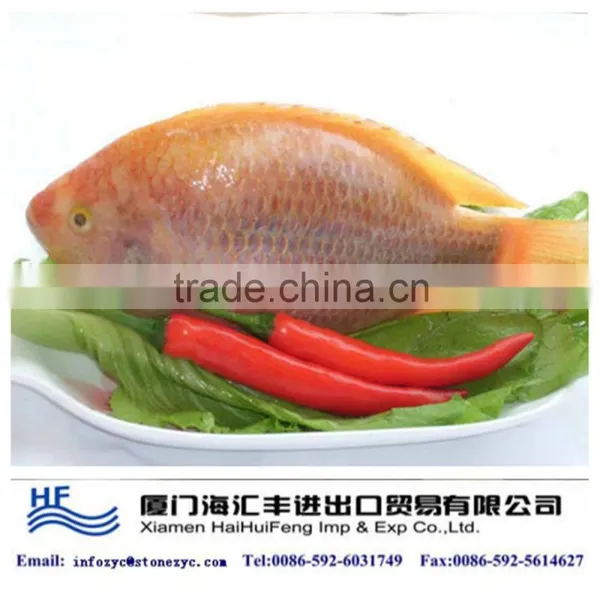 Red Tilapia Fish