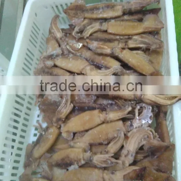 Illex Squid W/R