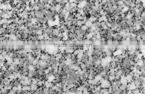 Factory Price Cheap Granite Tile Sesame White Granite photo-2