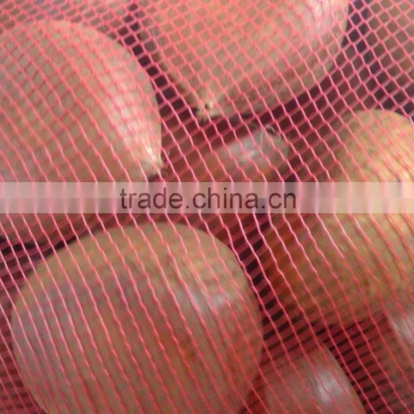Good Reputation of Chinese Fresh Chestnut in Shell. photo-6
