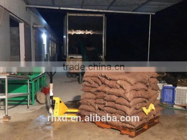 Chinese Raw Chestnuts photo-4