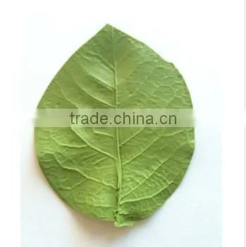 Cake Decoration Silicone Mold Fondant Cast Rose Leaf Veiner Gum Paste Icing Cast photo-3