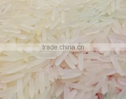 Rice Supplier in India photo-6