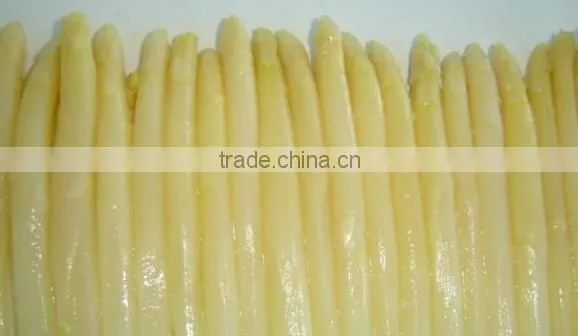China New Crop Canned Asparagus Canned Vegetables Canned White Whole Asparagus photo-4