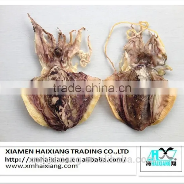 Dried Process Cuttlefish Squid