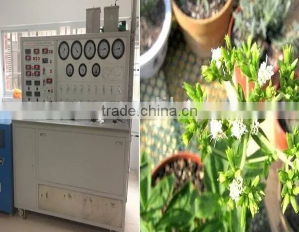 Ginger Oil Extraction Machine photo-6