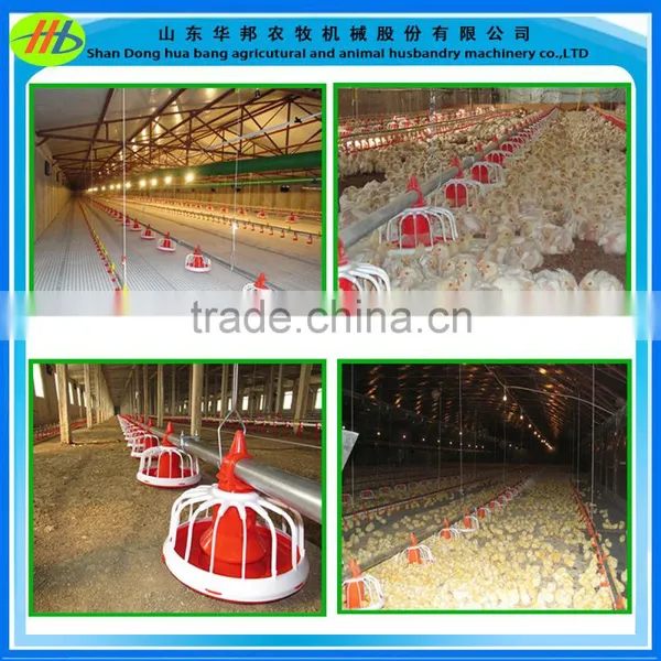 Poultry Automatic Pan Feeding System for Breeders photo-6