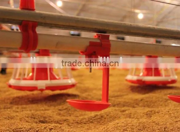 Poultry Equipment Automatic Feeder for Broiler photo-3