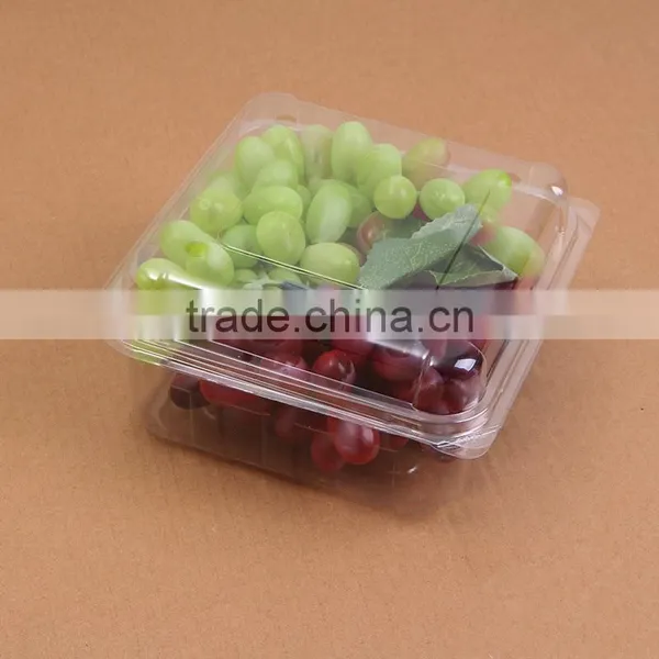 Clear Plastic 3 Compartment Box for Fruit/disposable Plastic Container/PET Plastic Box photo-6