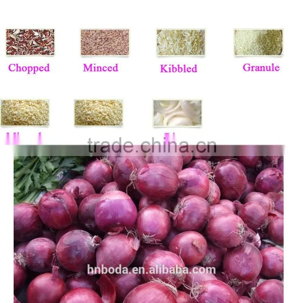 White Dehydrated Onion Powder Making Machine/whole Processing Line photo-4